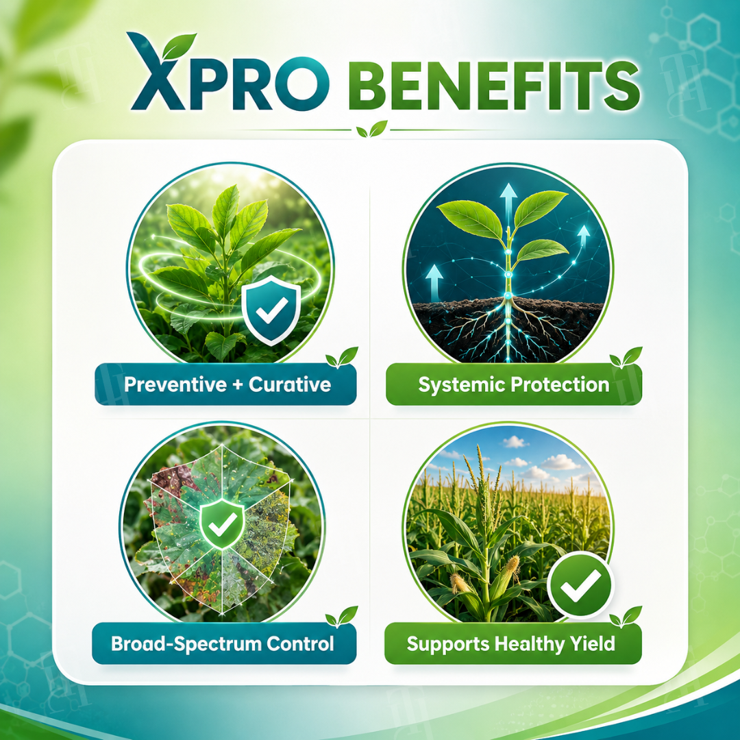 🌿HEANO™  Xpro Prothioconazole Systemic Fungicide🏆