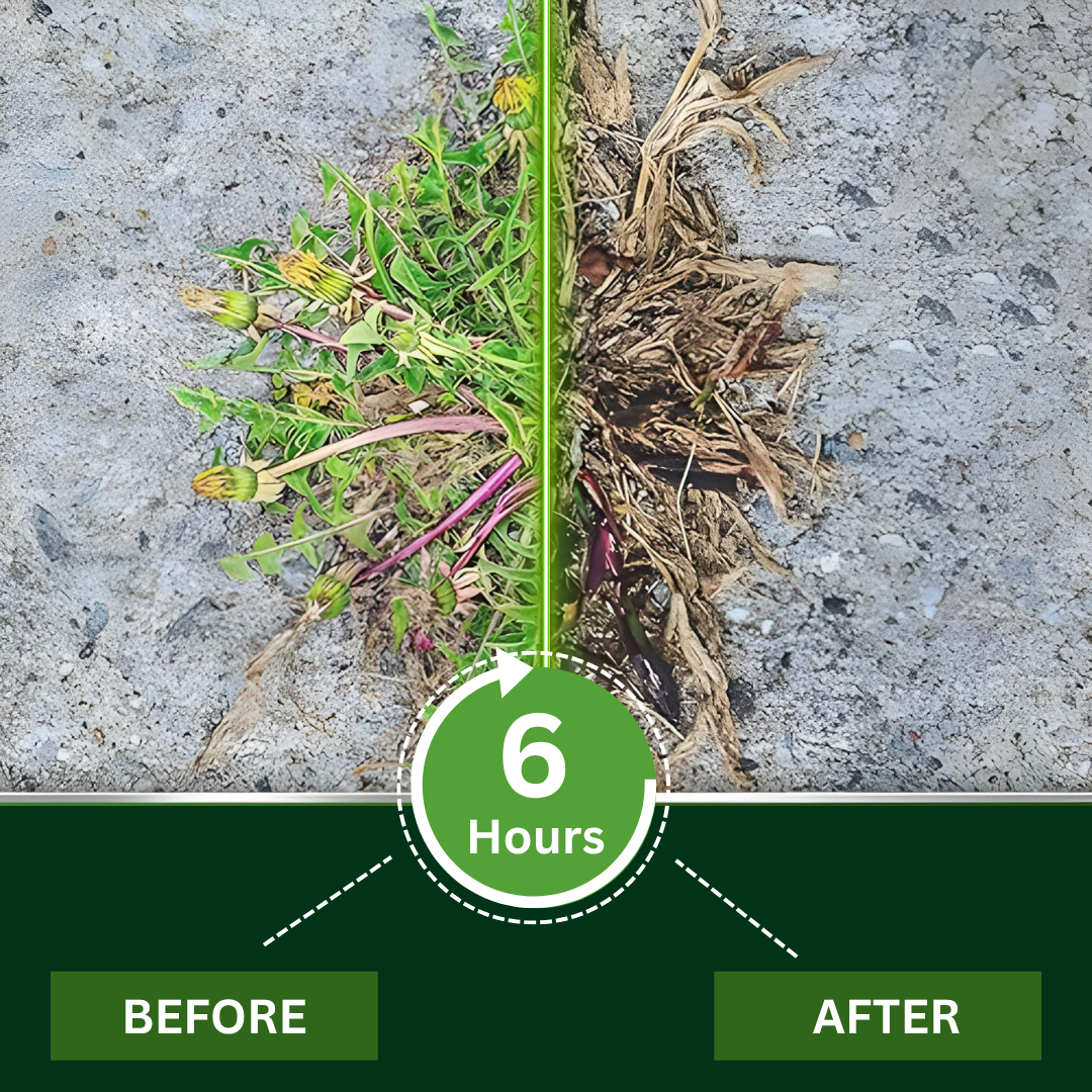 🛡️ 2-in-1 Max Power Herbicide: 🏆Professional Weed Killer for Garden & Farm | Fast-Acting, Eco-Safe & Root-Deep Control ✅